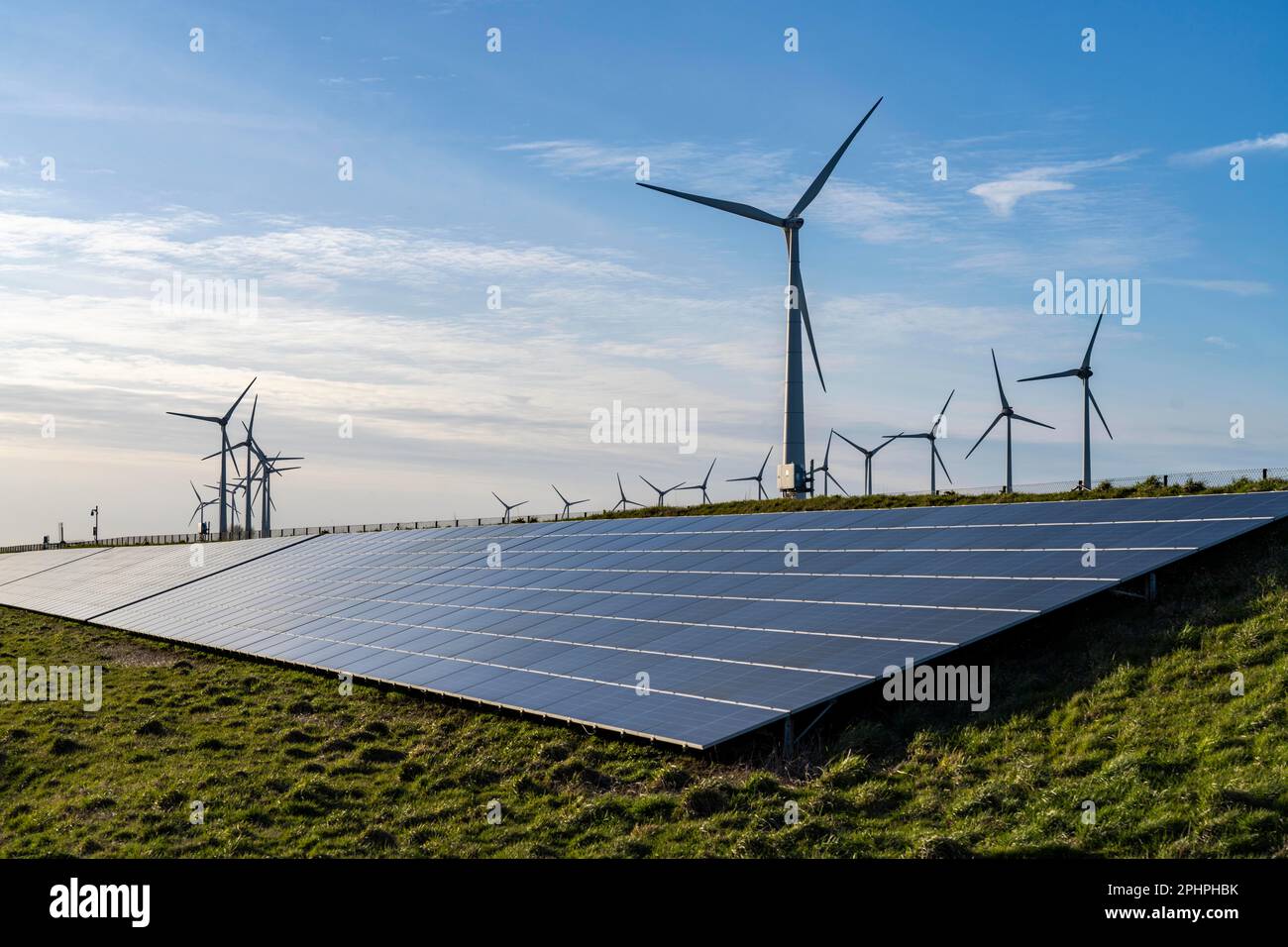Parco solare sulla diga Slaperdijk vicino al progetto di test Eemshaven, 17.000 moduli solari sono stati installati su un buon 5 KM, i Paesi Bassi ha più di 22,00 Foto Stock