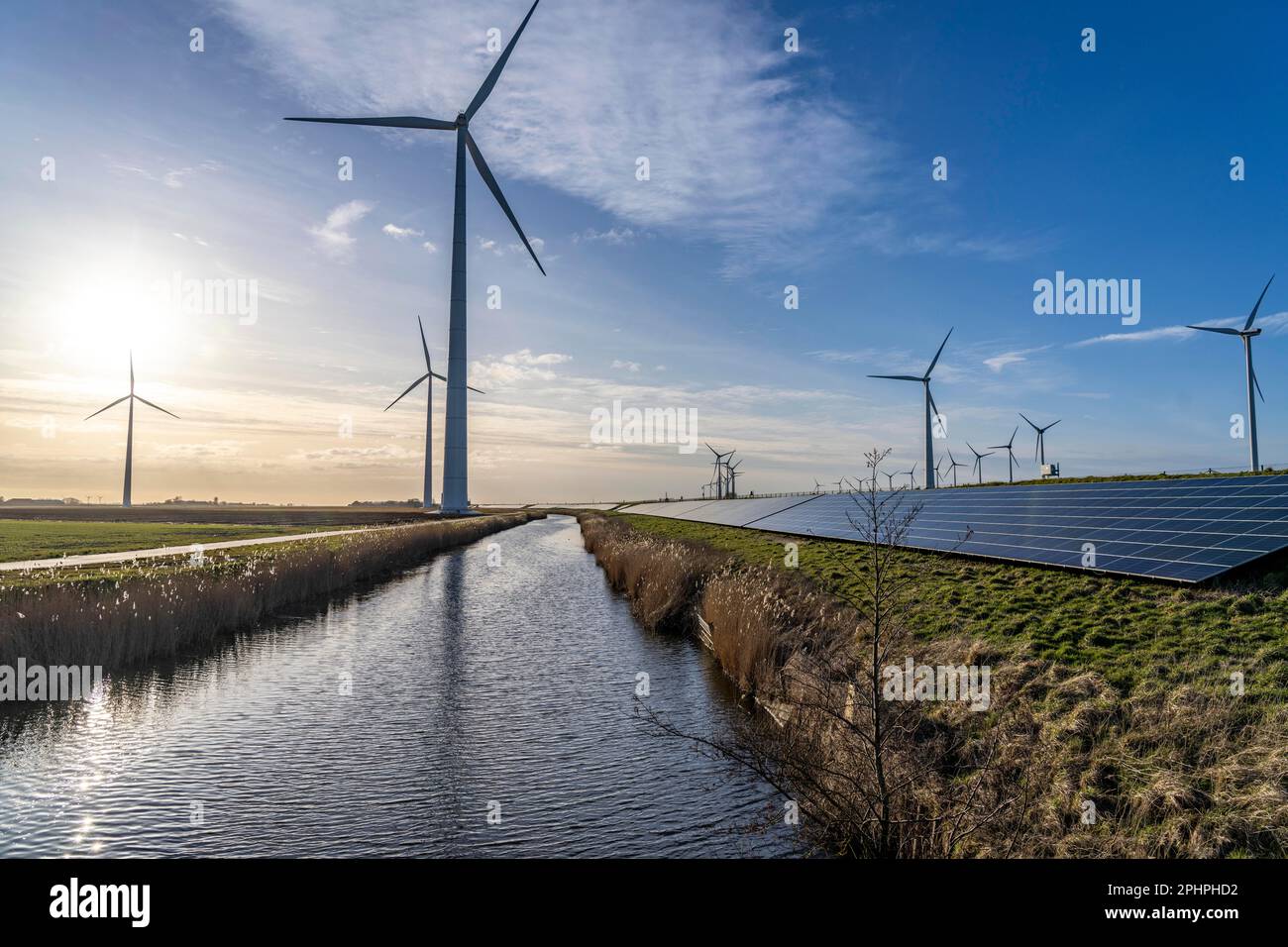 Parco solare sulla diga Slaperdijk vicino al progetto di test Eemshaven, 17.000 moduli solari sono stati installati su un buon 5 KM, i Paesi Bassi ha più di 22,00 Foto Stock