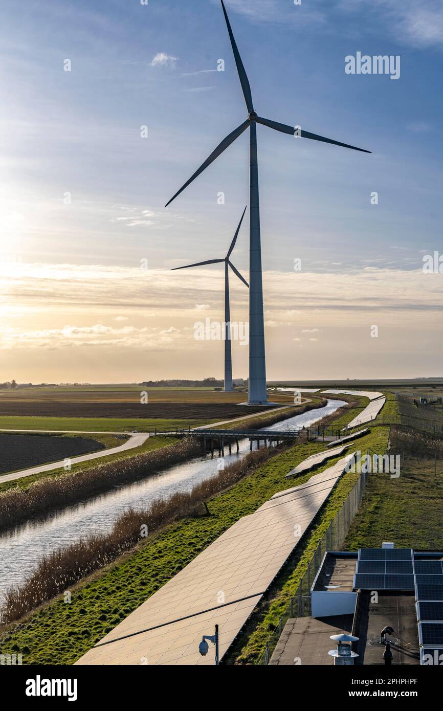Parco solare sulla diga Slaperdijk vicino al progetto di test Eemshaven, 17.000 moduli solari sono stati installati su un buon 5 KM, i Paesi Bassi ha più di 22,00 Foto Stock