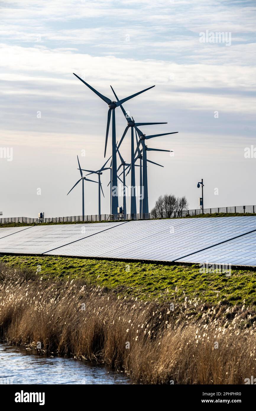 Parco solare sulla diga Slaperdijk vicino al progetto di test Eemshaven, 17.000 moduli solari sono stati installati su un buon 5 KM, i Paesi Bassi ha più di 22,00 Foto Stock