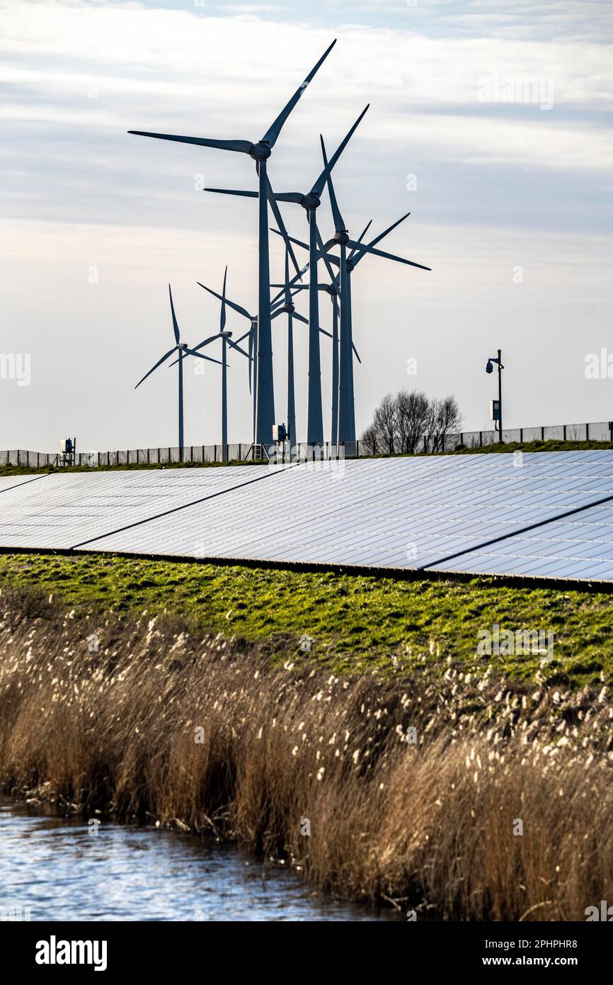 Parco solare sulla diga Slaperdijk vicino al progetto di test Eemshaven, 17.000 moduli solari sono stati installati su un buon 5 KM, i Paesi Bassi ha più di 22,00 Foto Stock