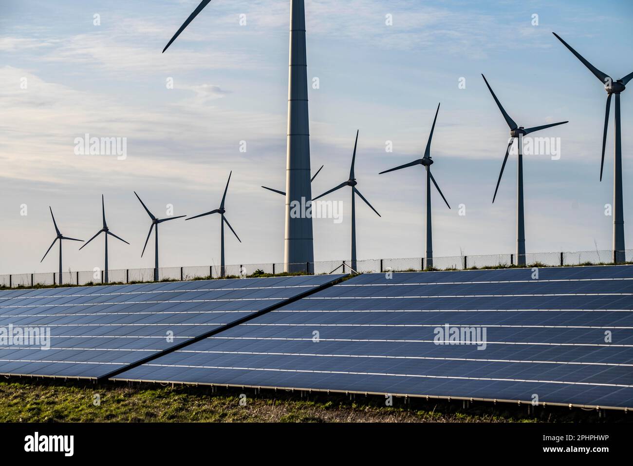 Parco solare sulla diga Slaperdijk vicino al progetto di test Eemshaven, 17.000 moduli solari sono stati installati su un buon 5 KM, i Paesi Bassi ha più di 22,00 Foto Stock