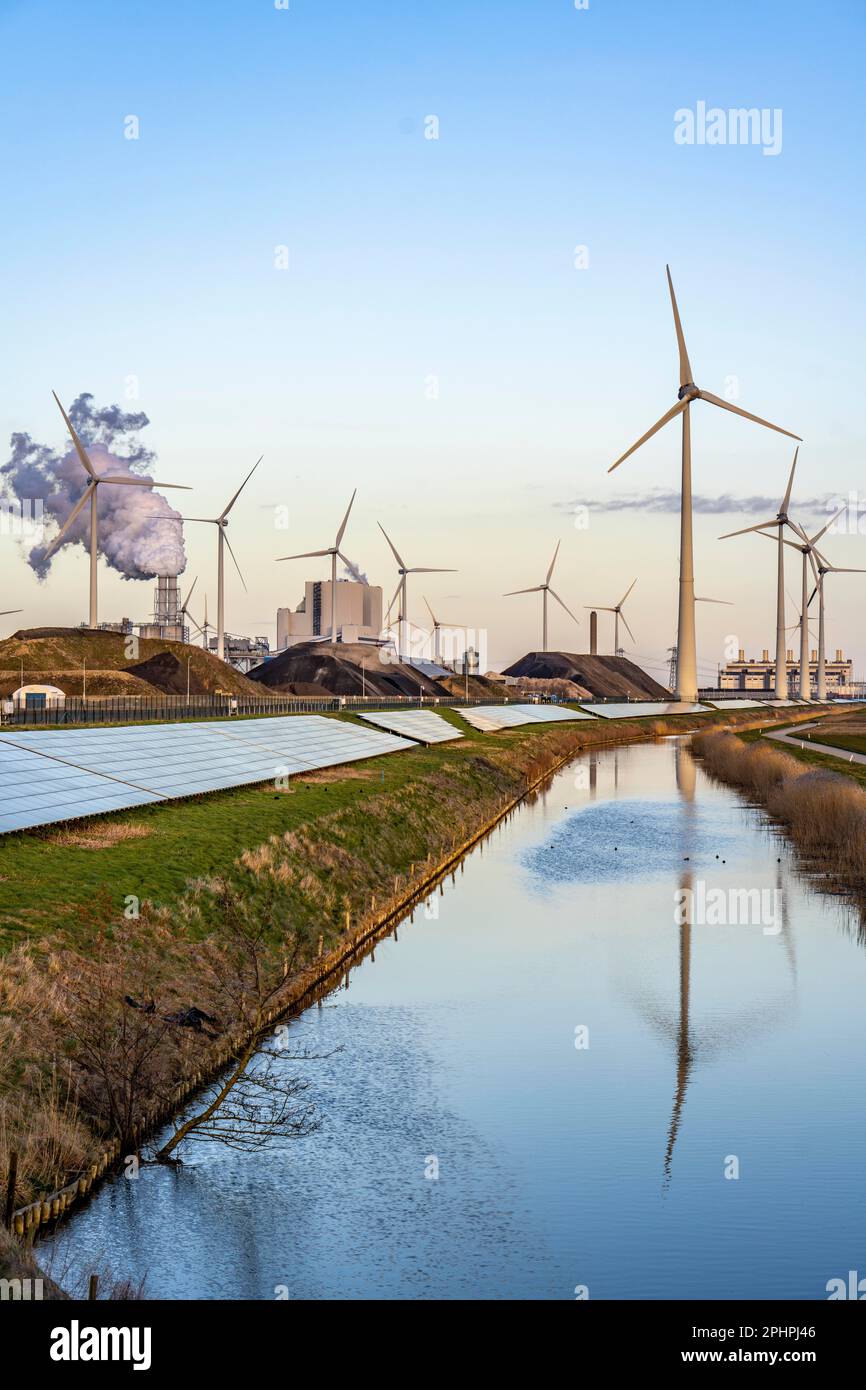 Parco solare sulla diga Slaperdijk vicino al progetto di test Eemshaven, 17.000 moduli solari sono stati installati su un buon 5 KM, i Paesi Bassi ha più di 22,00 Foto Stock