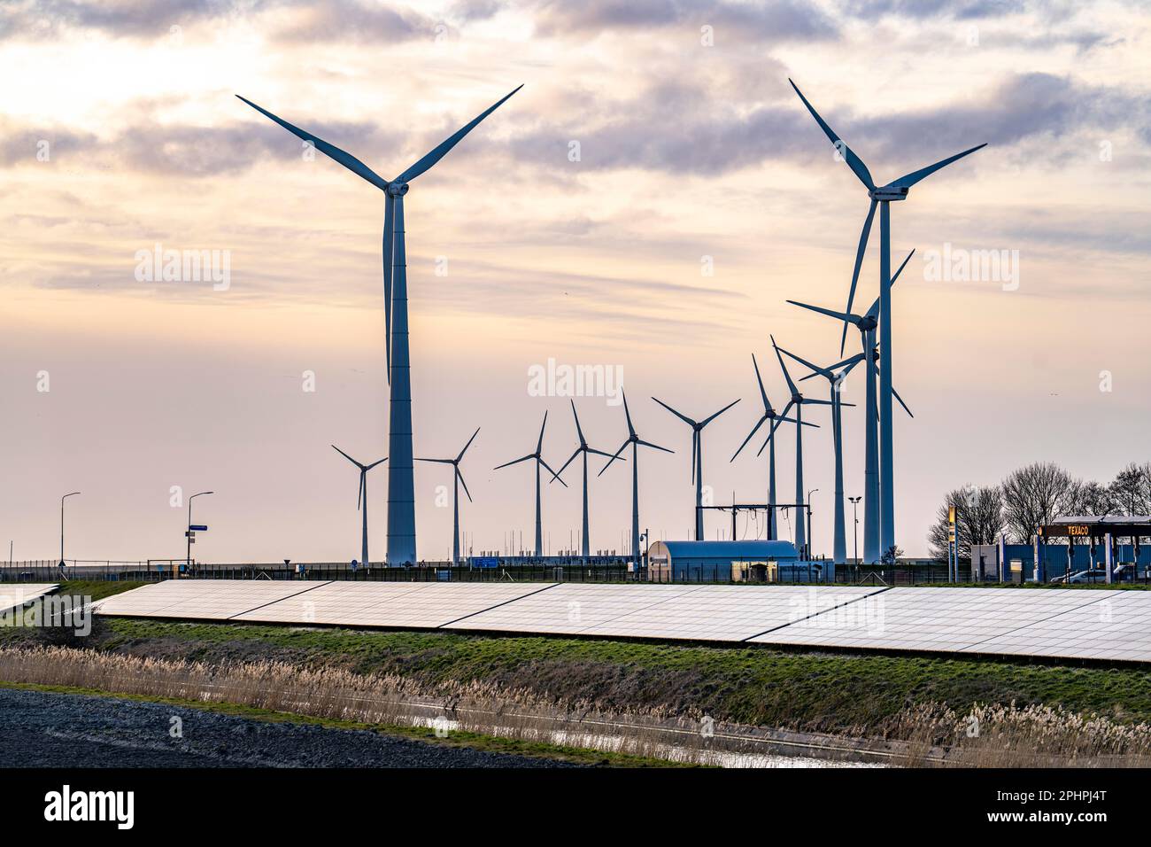 Parco solare sulla diga Slaperdijk vicino al progetto di test Eemshaven, 17.000 moduli solari sono stati installati su un buon 5 KM, i Paesi Bassi ha più di 22,00 Foto Stock
