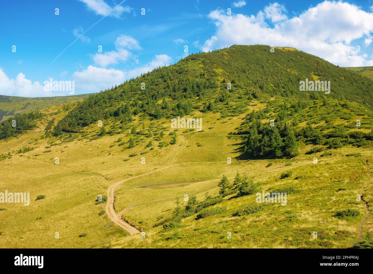 sentiero tra colline e prati. scenario alpino dei carpazi ucraini. meta turistica popolare per la montagna petros in estate Foto Stock