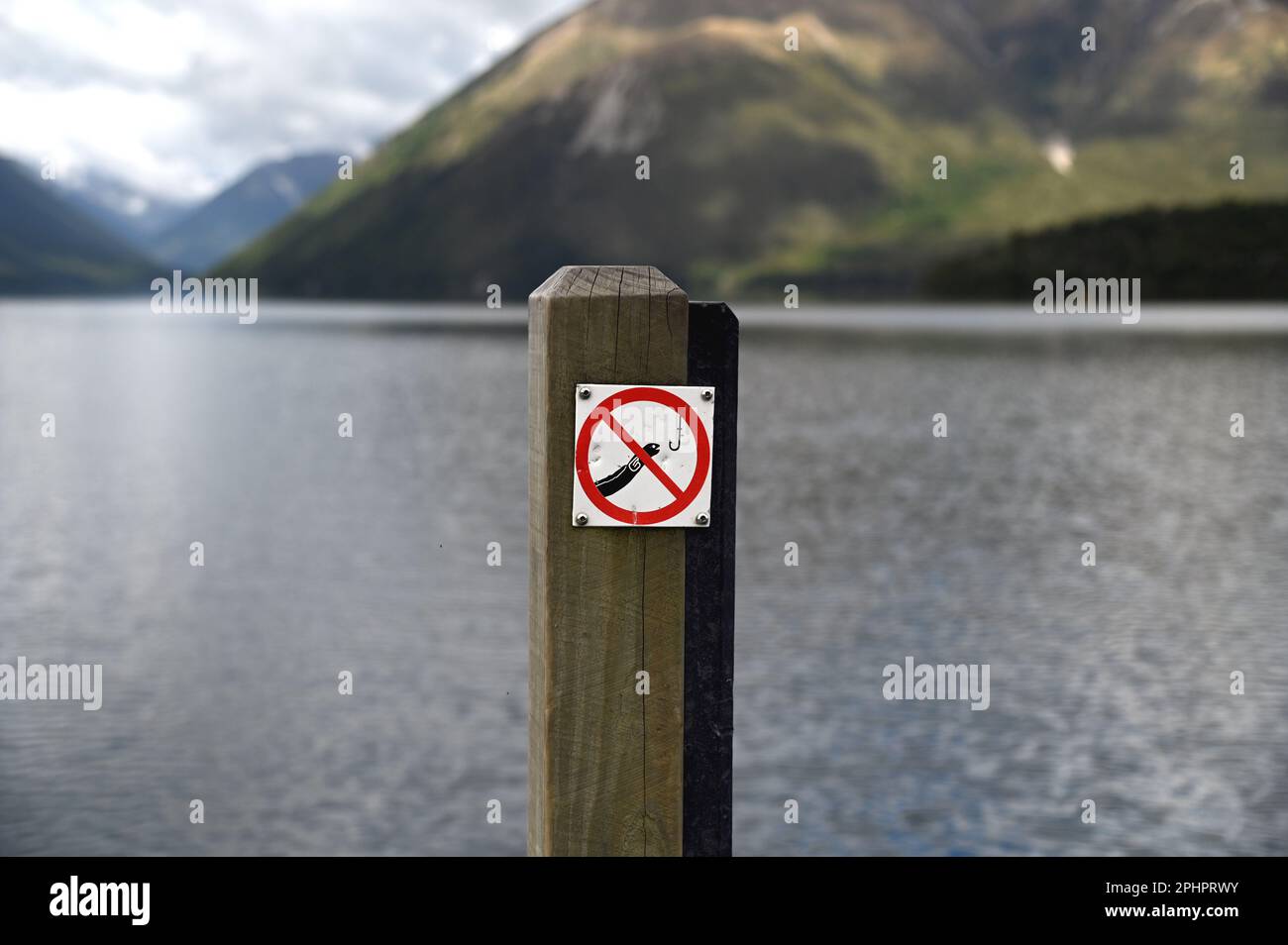 Non è consentito pescare anguille alla fine del molo presso il lago Rotoiti, St Arnaud, Nelson Lakes. Un certo numero di anguille vive sotto e intorno al molo. Foto Stock