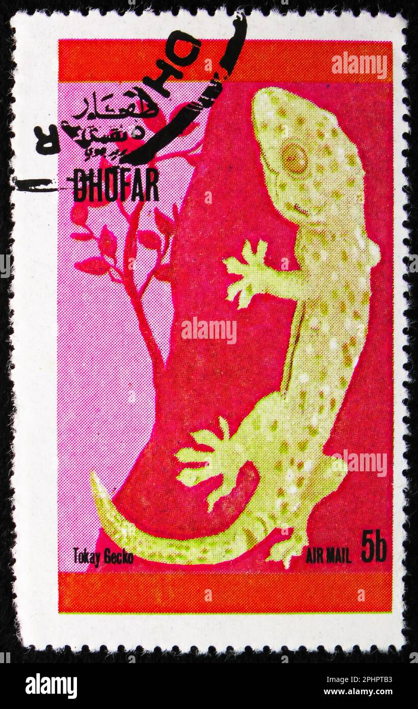 MOSCA, RUSSIA - 25 MARZO 2023: Francobollo stampato a Dhufar mostra Tokay Gecko, rettili serie, circa 1972 Foto Stock