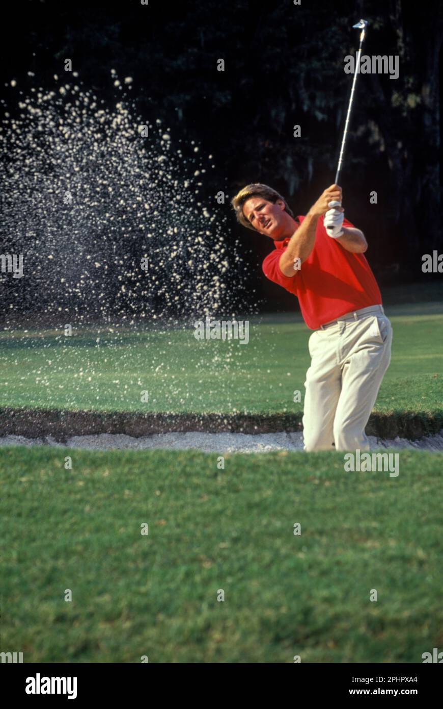 1990 golfista storico HITS palla fuori della trappola di sabbia sul putting green Foto Stock