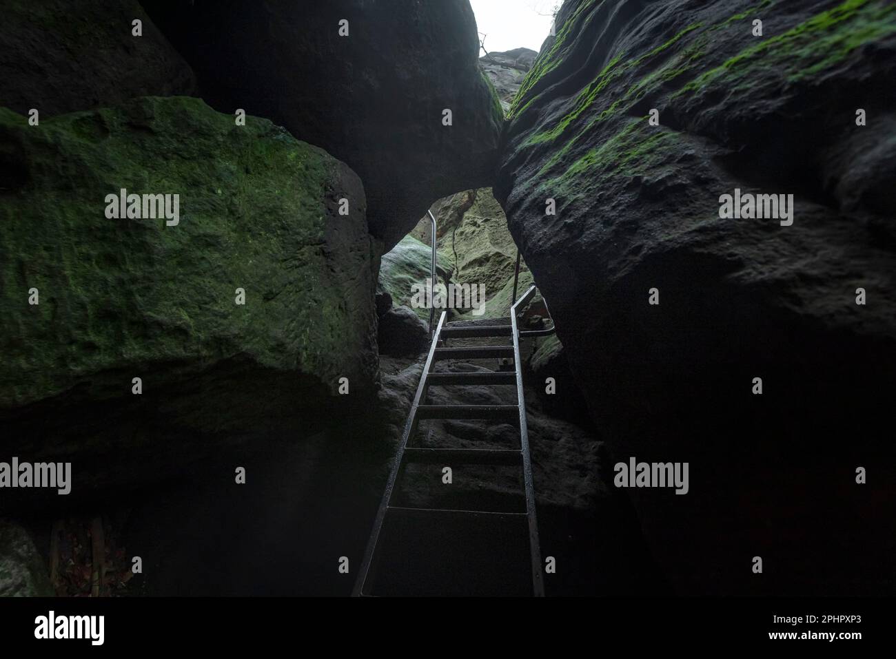 Pfaffenstein, Svizzera sassone, Sassonia, Germania Foto Stock