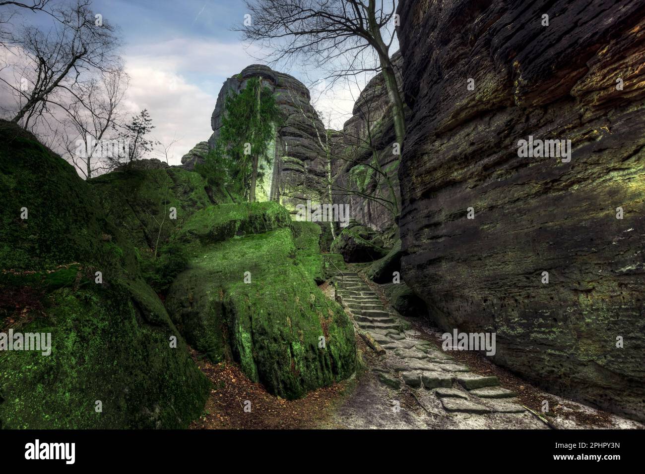 Pfaffenstein, Svizzera sassone, Sassonia, Germania Foto Stock