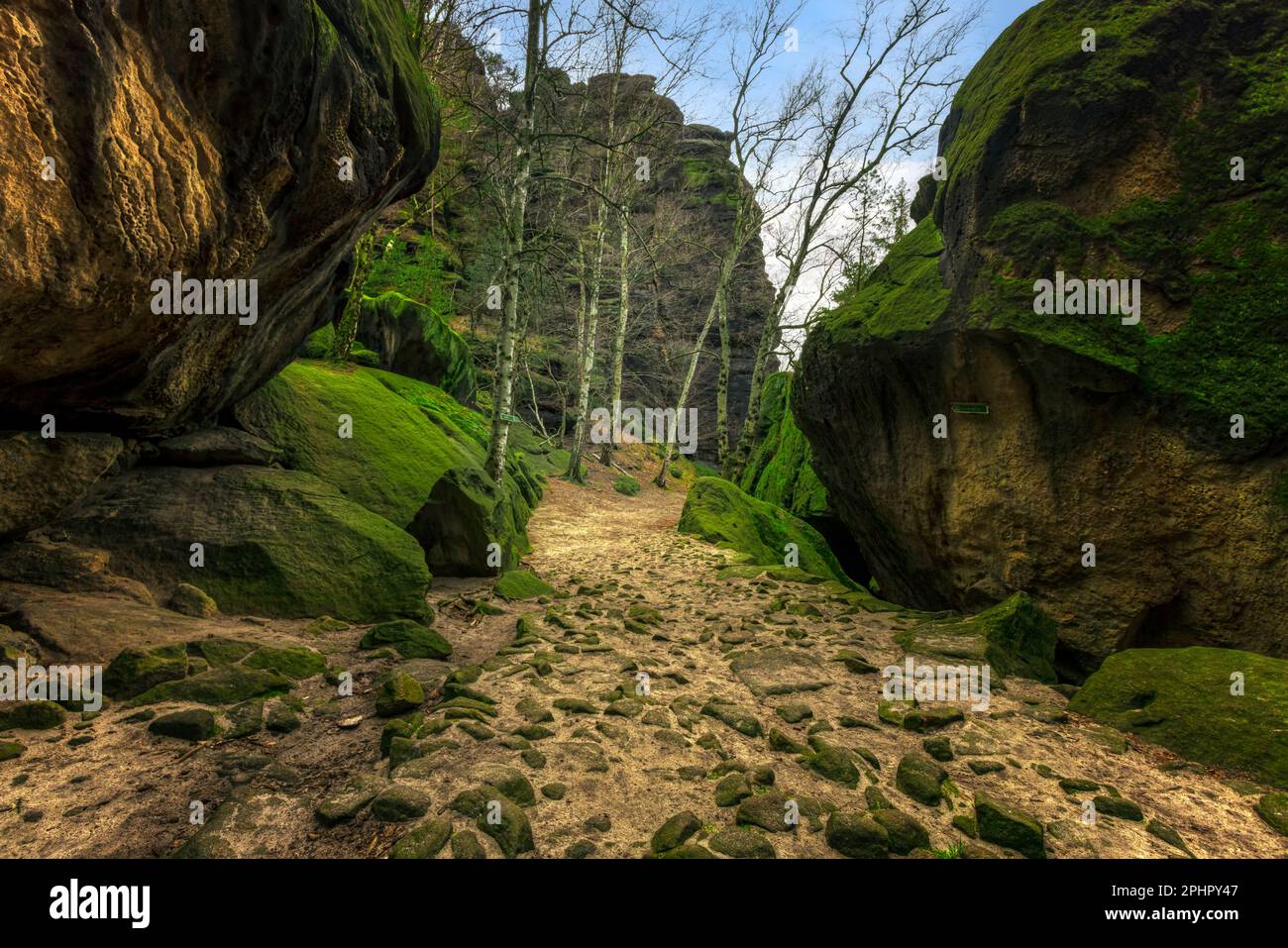 Pfaffenstein, Svizzera sassone, Sassonia, Germania Foto Stock