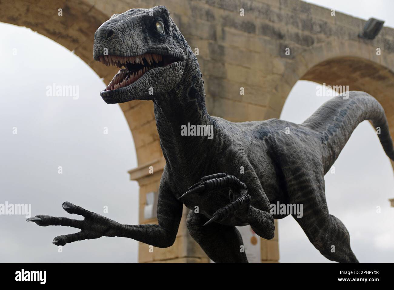 Modello di Velociraptor situato nei Giardini superiori di Barrakka, Valletta, Malta. Scene del film/film del 2022 Jurassic World Dominion sono state girate a Malta e questo dinosauro è stato esposto nei giardini come parte del Malta Movie Tour, che ha avuto molti film e film nel corso degli anni. Foto Stock