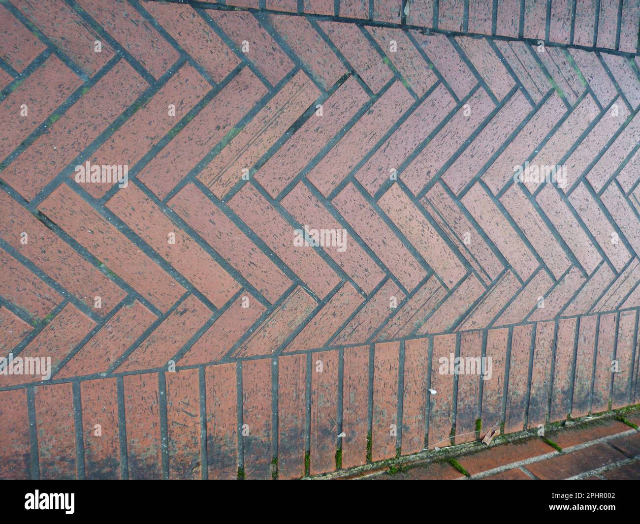 immagine pouvant servir de texture Foto Stock