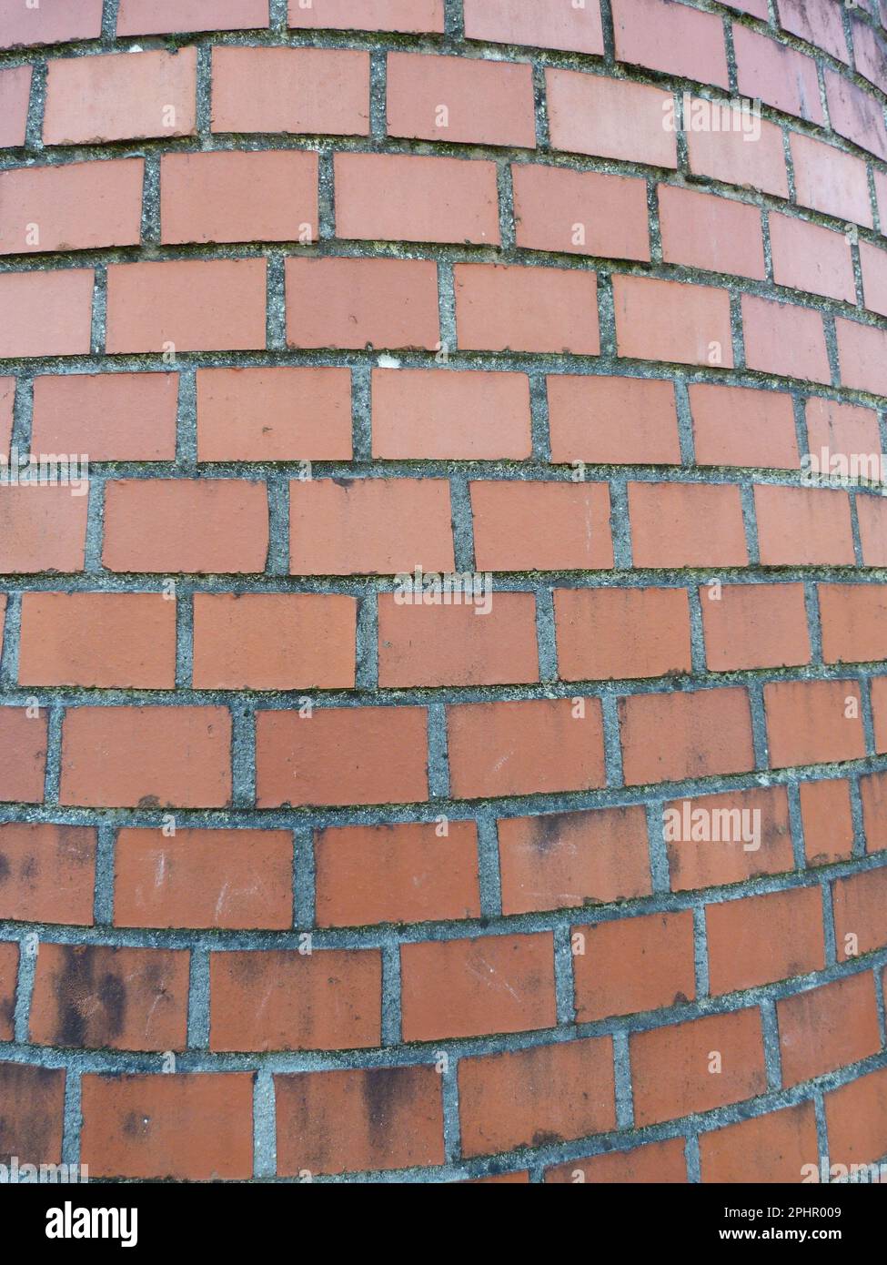 immagine pouvant servir de texture Foto Stock