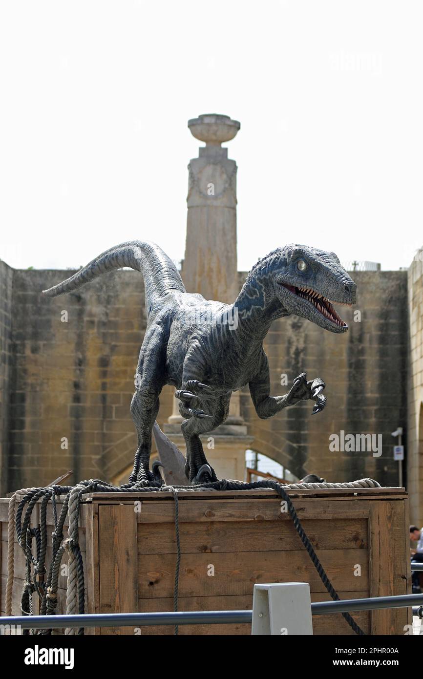 Modello di Velociraptor situato nei Giardini superiori di Barrakka, Valletta, Malta. Scene del film/film del 2022 Jurassic World Dominion sono state girate a Malta e questo dinosauro è stato esposto nei giardini come parte del Malta Movie Tour, che ha avuto molti film e film nel corso degli anni. Foto Stock