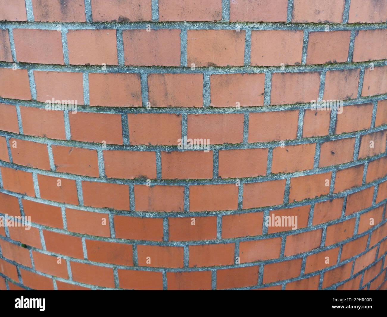 immagine pouvant servir de texture Foto Stock
