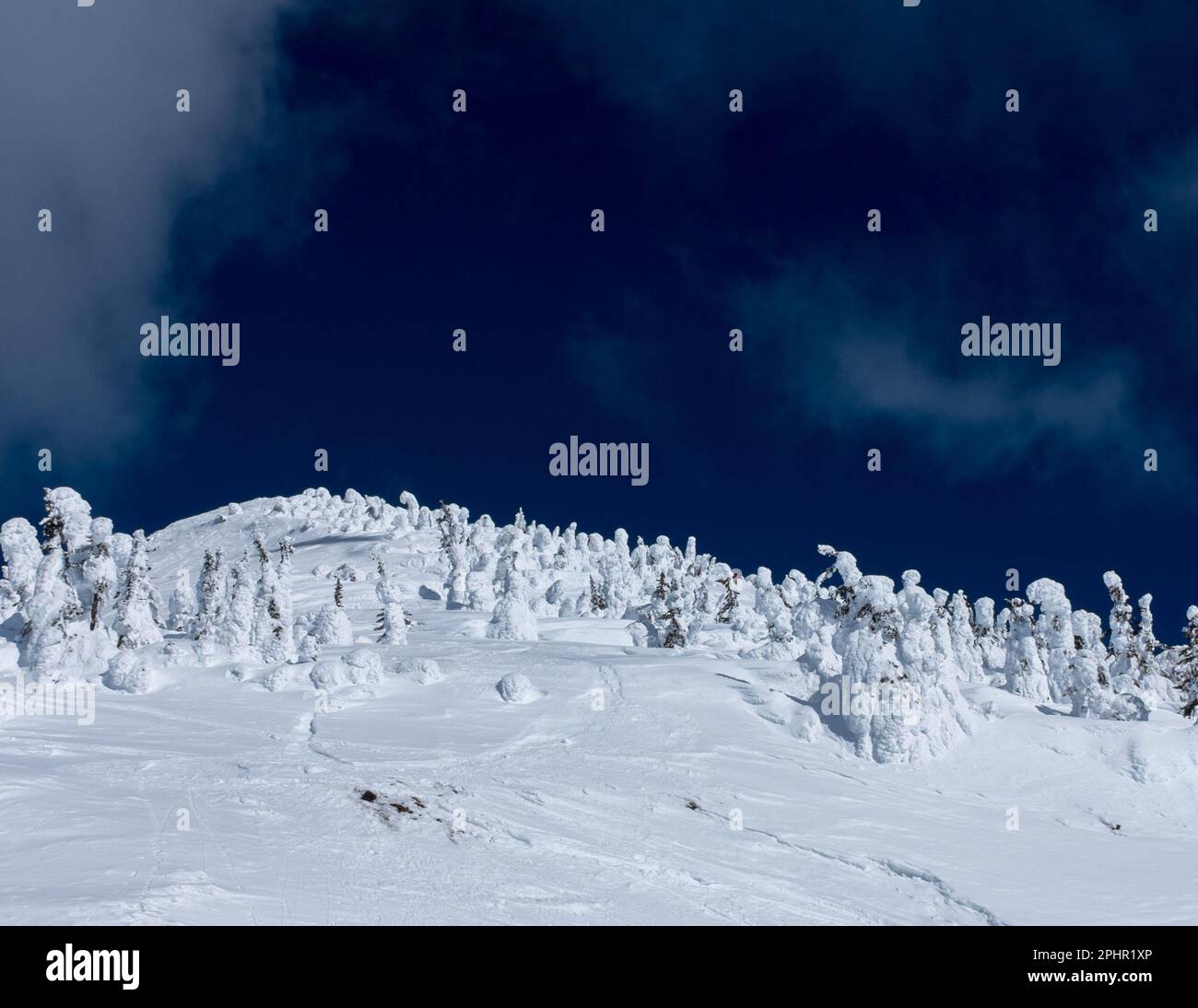 Gli alberi di alta quota possono assumere forme umane. In genere sono chiamati Snow Ghosts. Questi si trovano sul Monte MacKenzie vicino a Revelstoke, BC, Canada. Foto Stock