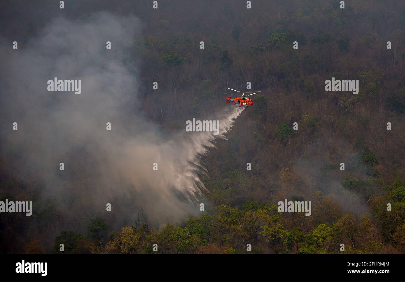 Un elicottero antincendio KA-32 del Dipartimento tailandese di prevenzione e mitigazione delle catastrofi (DDPM) fa cadere l'acqua per spegnere l'incendio della foresta presso la National Reserved Forest Group9. Foto Stock