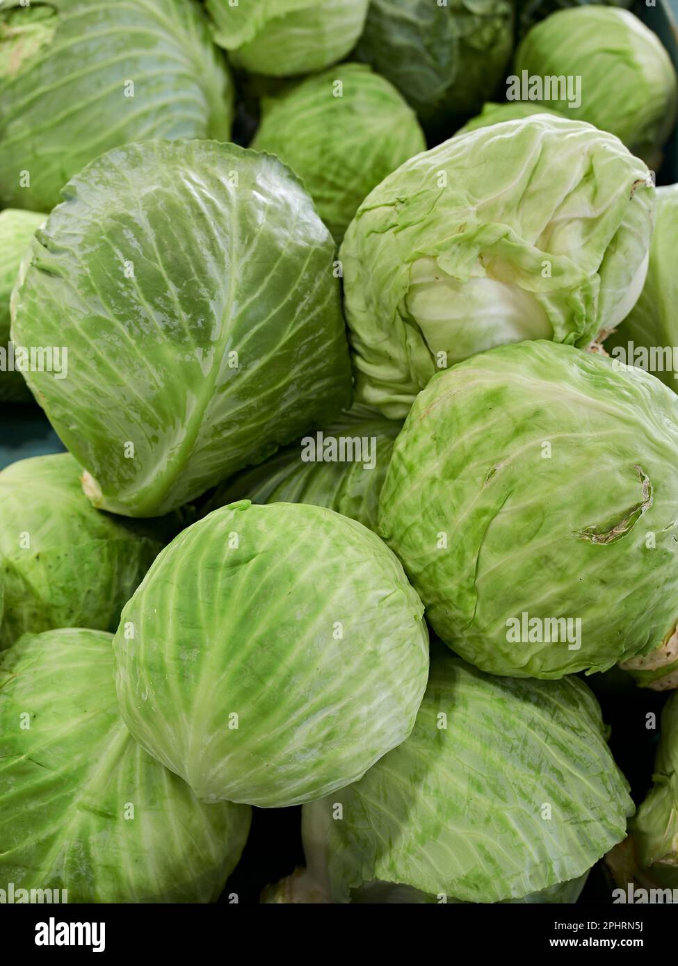Teste fresche di cavolo in vendita in un mercato agricolo a Montgomery Alabama, USA. Foto Stock