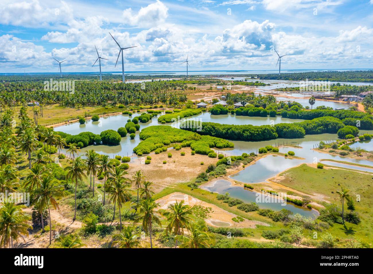 Veduta aerea dei campi agricoli trascurati dalle turbine eoliche a Kalpitiya in Sri Lanka. Foto Stock