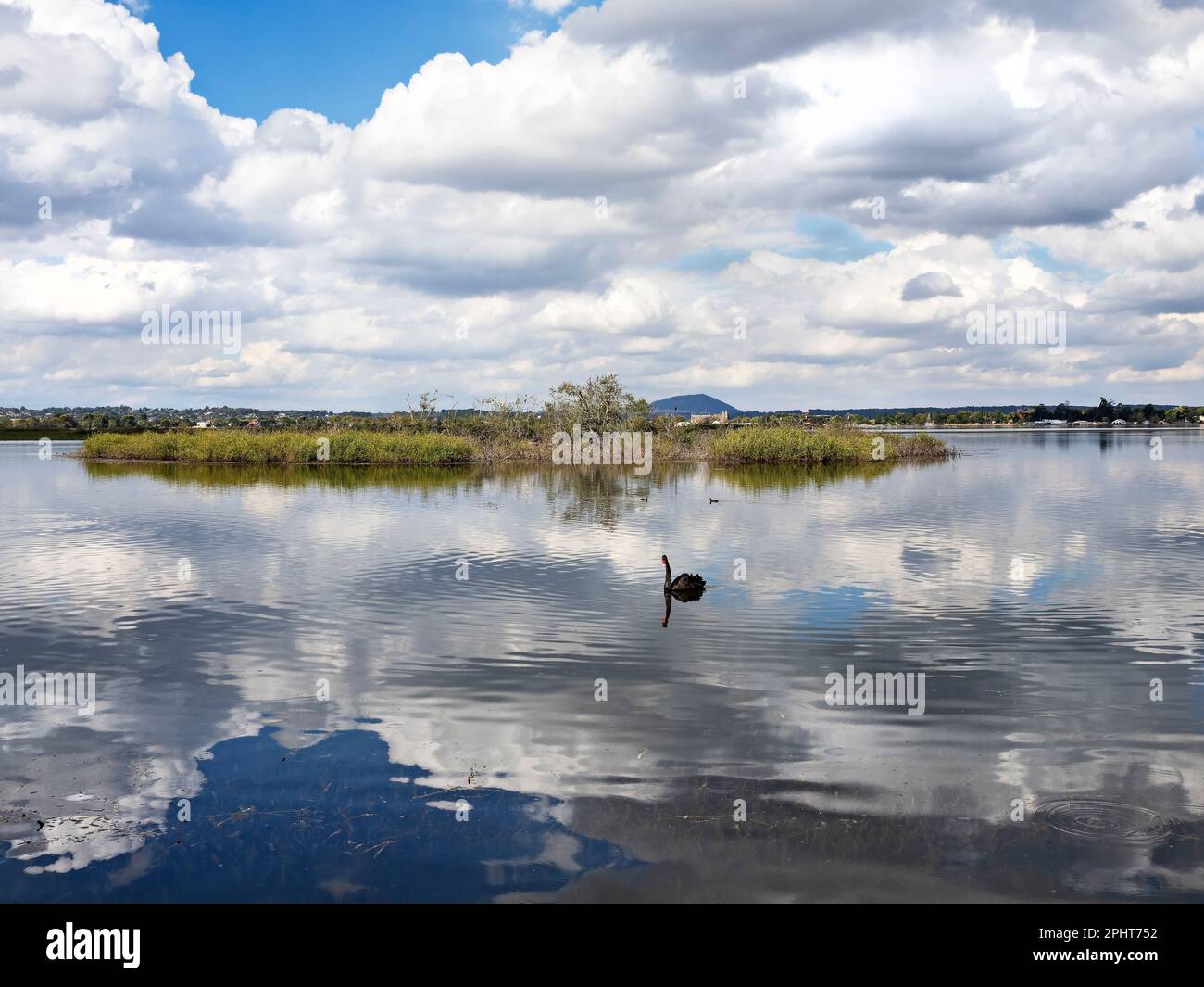 Ballarat Australia / Ballarat's Lake Wendouree è un paradiso per la fauna selvatica. Foto Stock