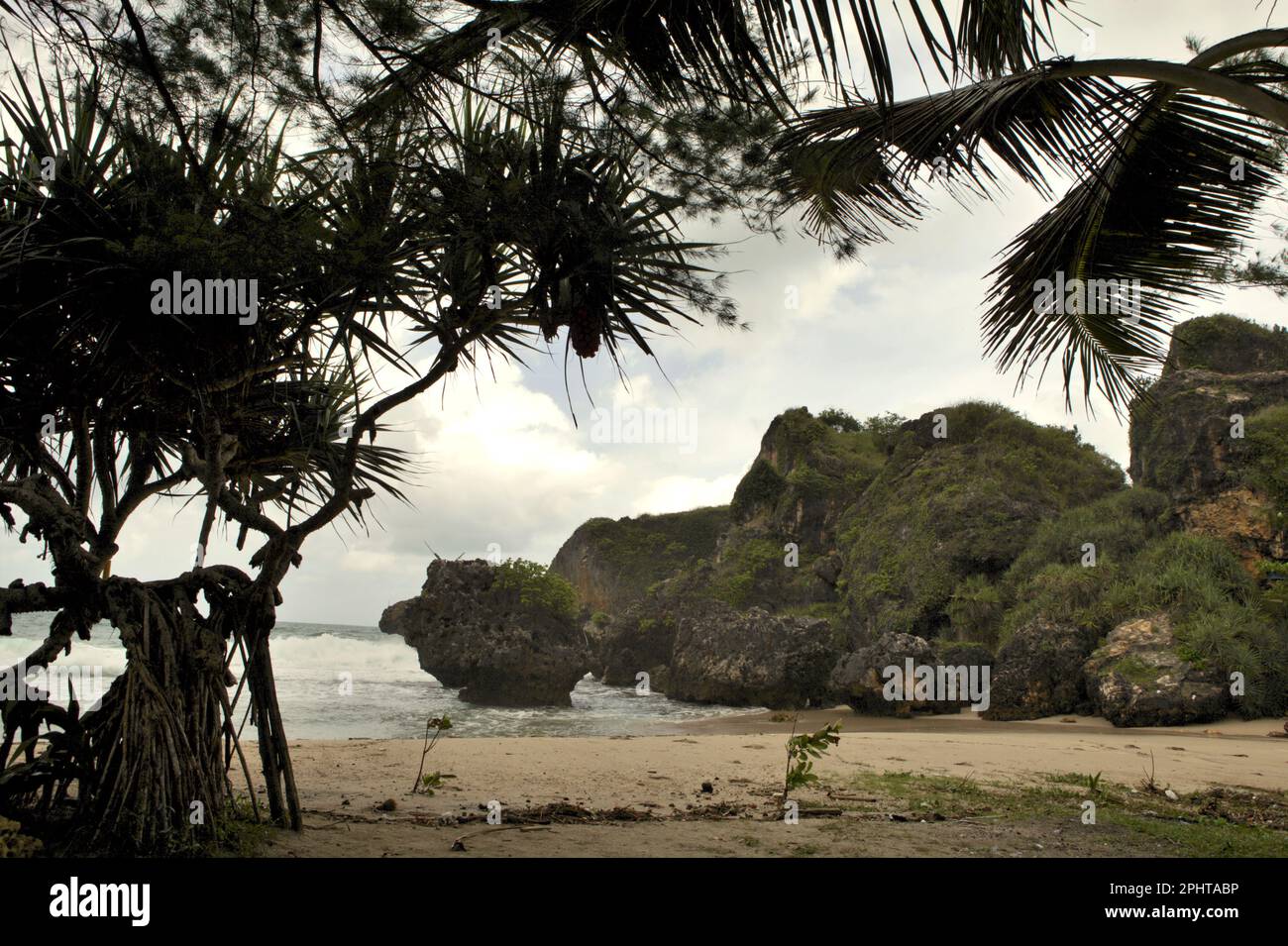 Vegetazione costiera, spiaggia sabbiosa e colline rocciose in un'area chiamata Siung Beach, che è amministrativamente situato a Duwet, Purwodadi, Tepus, Gunungkidul, Yogyakarta, Indonesia. La spiaggia è una delle destinazioni turistiche costiere più popolari di fronte all'Oceano Indiano nella speciale regione di Yogyakarta, una delle regioni autonome a livello provinciale in Indonesia. Per gli appassionati di arrampicata su roccia, Siung Beach offre più di 200 percorsi sportivi che sono già stabiliti sulla faccia delle sue colline calcaree. Foto Stock
