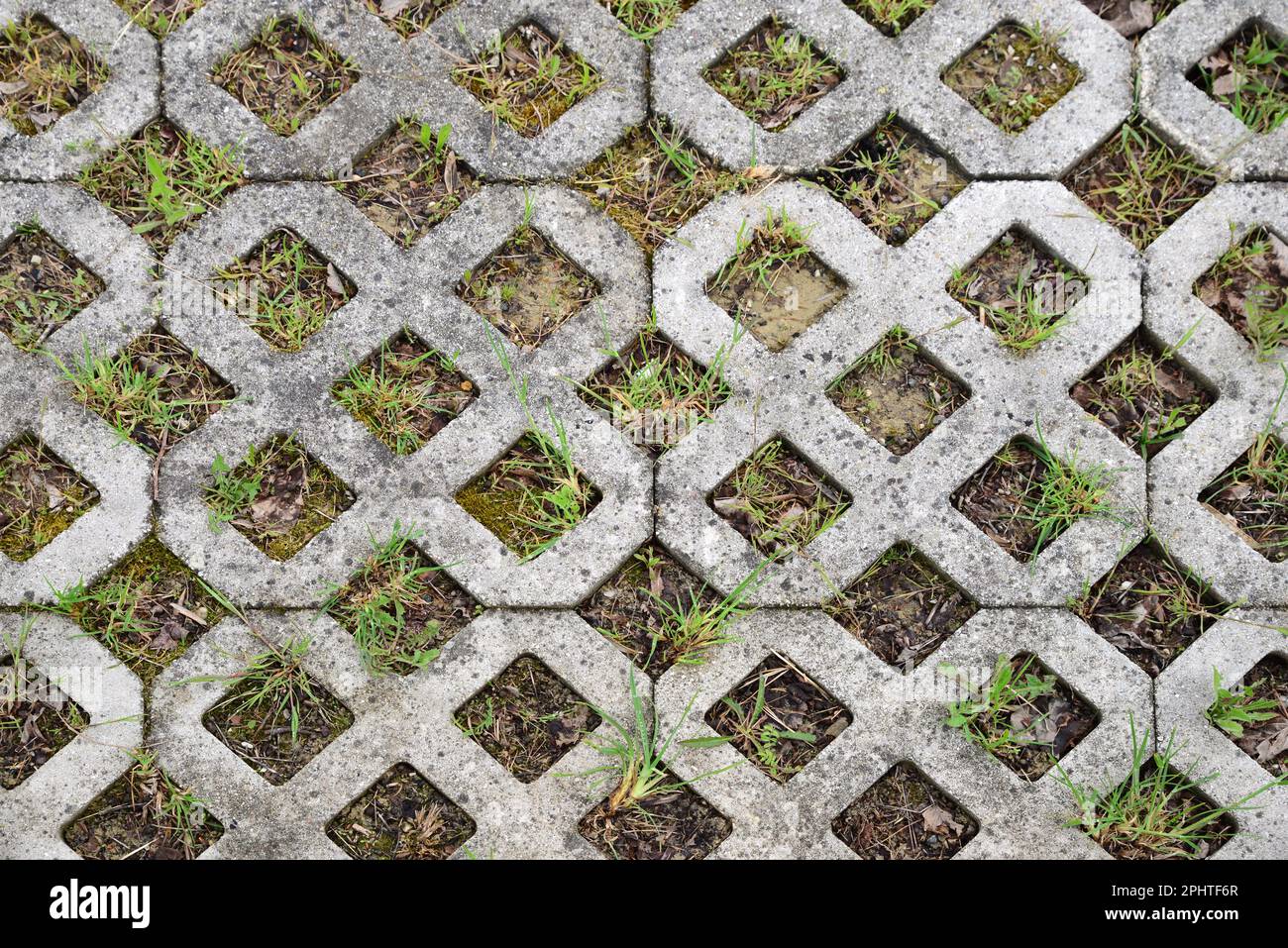 Erba verde fresca che cresce attraverso piastrelle all'aperto, vista dall'alto Foto Stock