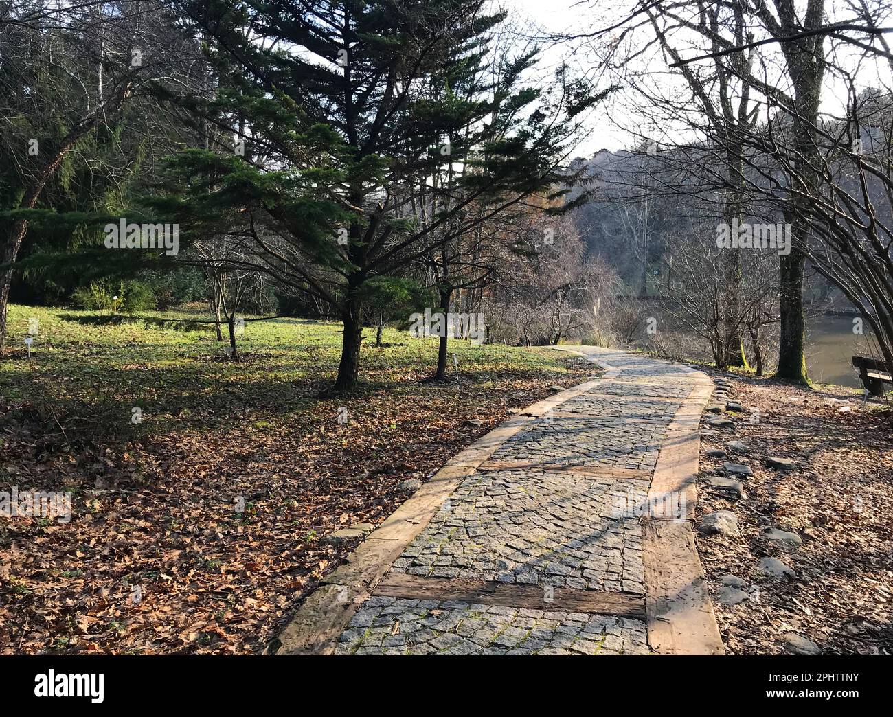 Pavimentazione di pietra sentiero al bellissimo Arboreto Ataturk a Sariyer, Istanbul, Turchia. Foto Stock