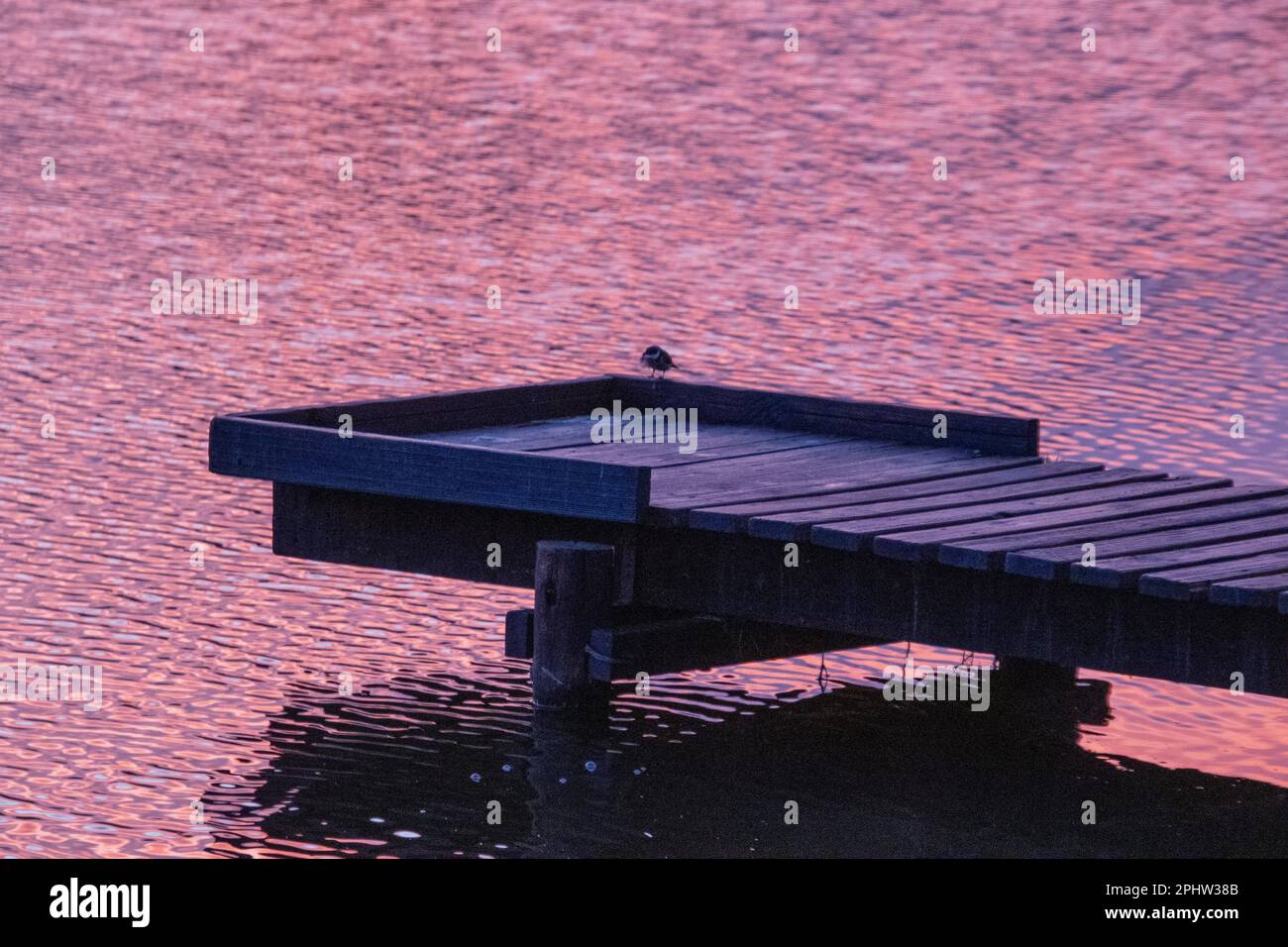 Molo di legno sull'acqua che riflette un cielo rosa dall'alba del mattino presto Foto Stock
