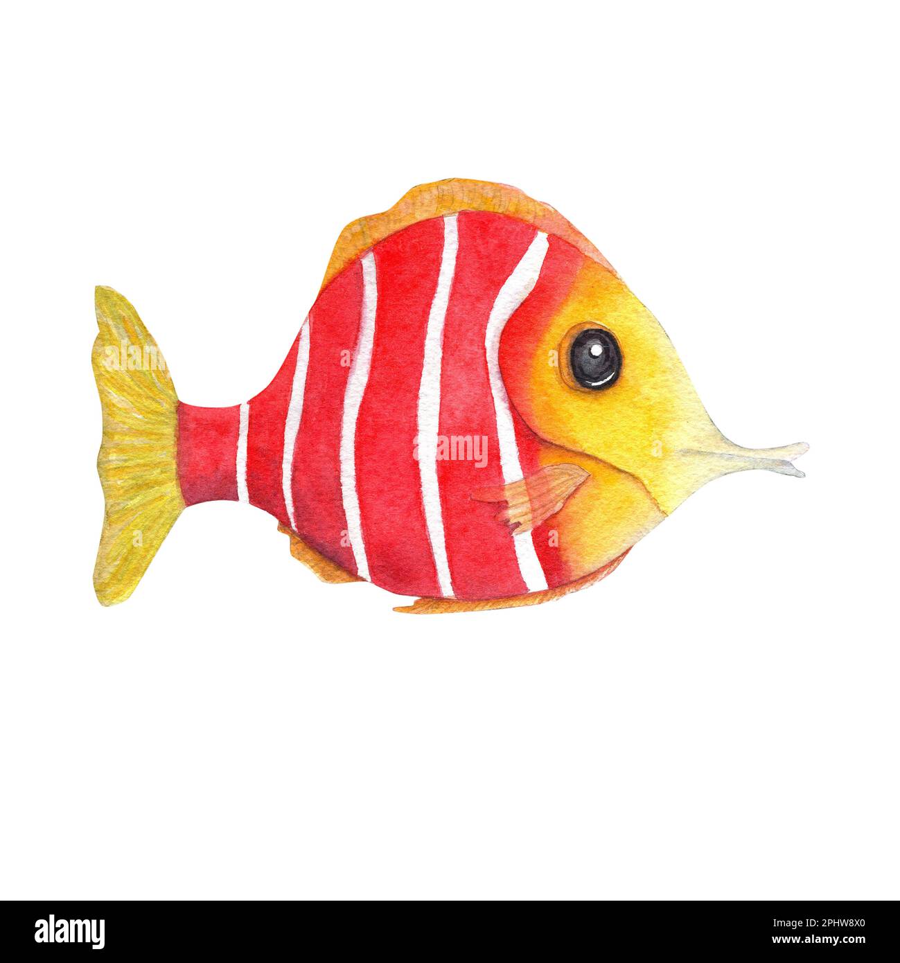 Acquerello dipinto a mano illustrazione di pesci colorati isolato su sfondo bianco. Perfetto per tappezzeria, stampa, tessuti per bambini, vivaio, scrapbooking Foto Stock