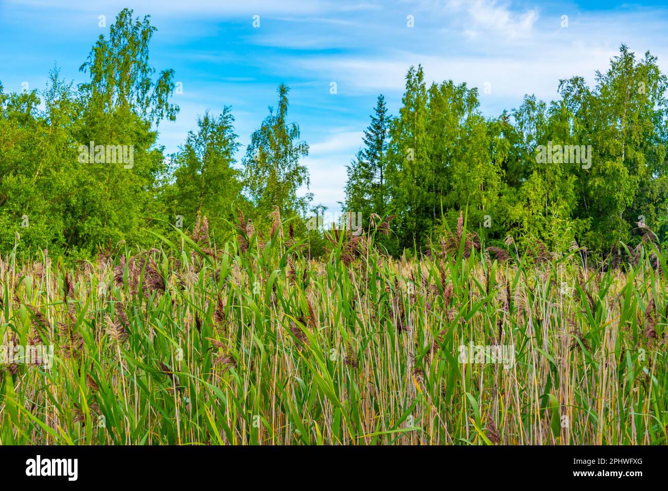 Paesaggio naturale dell'arcipelago del Kvarken in Finlandia. Foto Stock