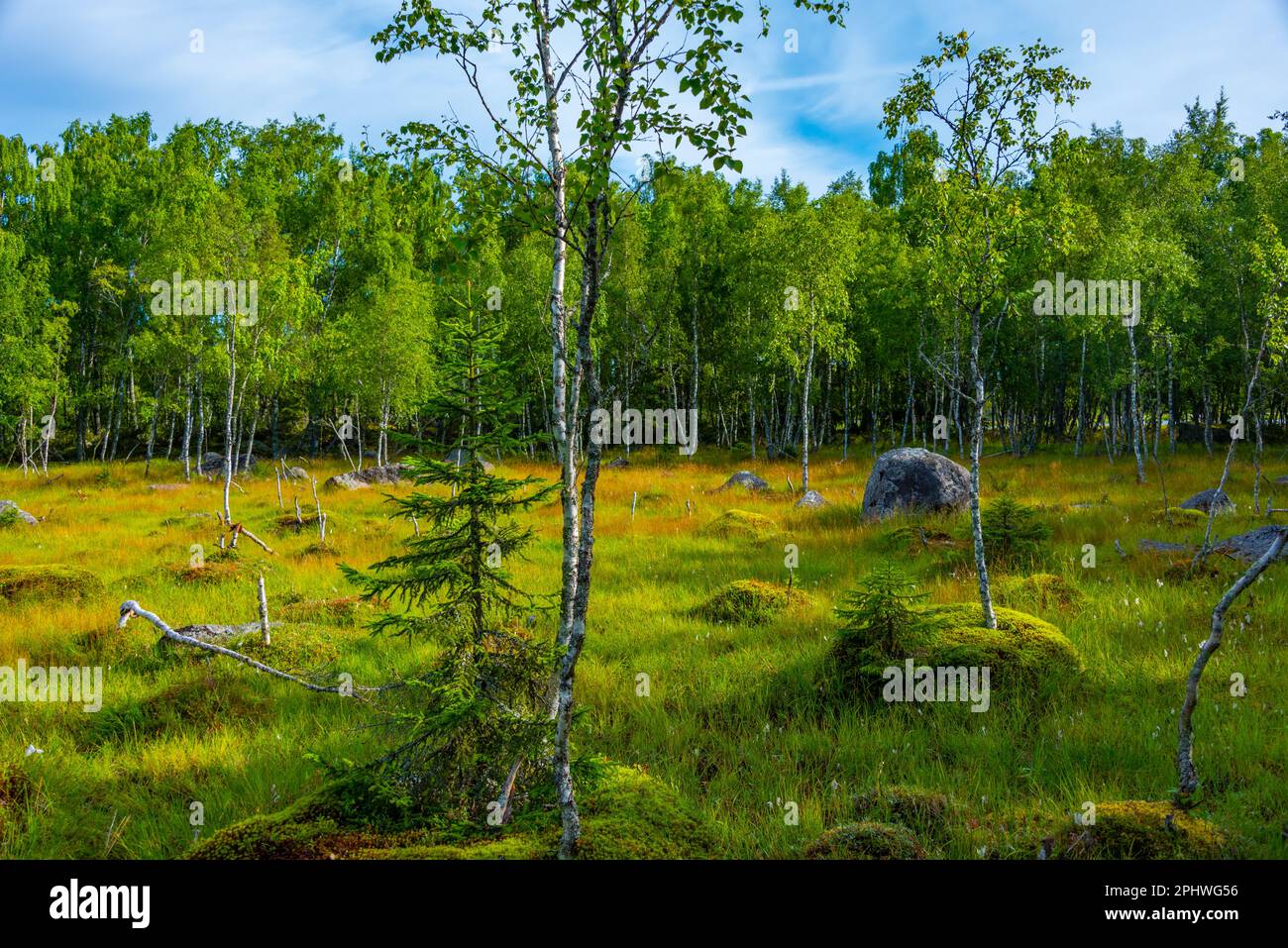 Paesaggio naturale dell'arcipelago del Kvarken in Finlandia. Foto Stock