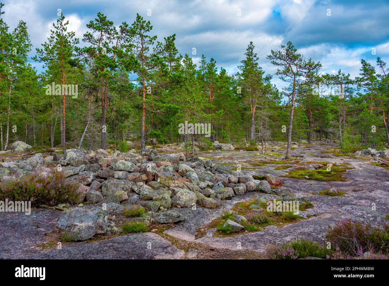 Sammallahdenmäki è un luogo di sepoltura dell'età del bronzo in Finlandia, vicino a Rauma Foto Stock