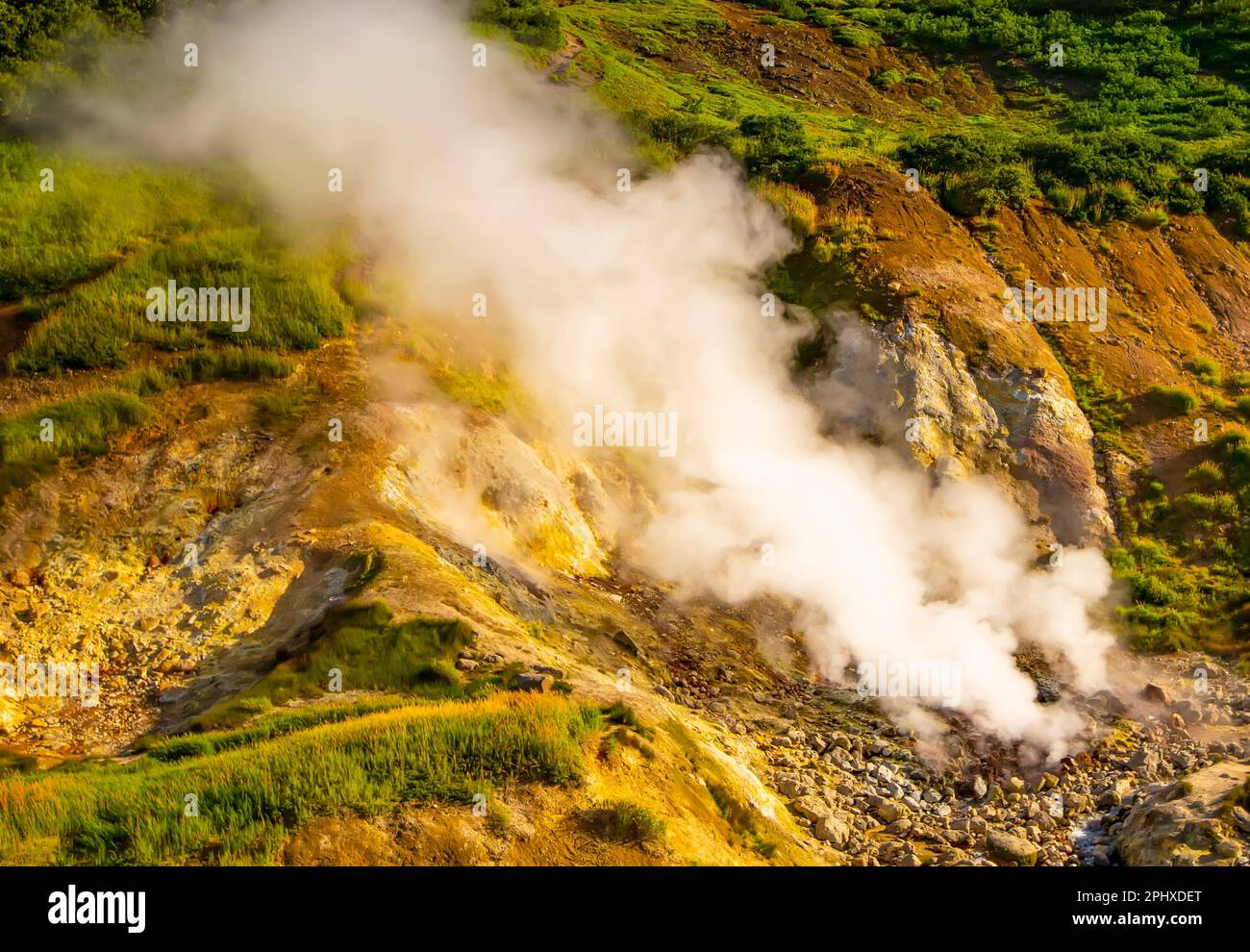 Valle dei geyser, riserva naturale di Kronotsky, penisola di Kamchatka Foto Stock