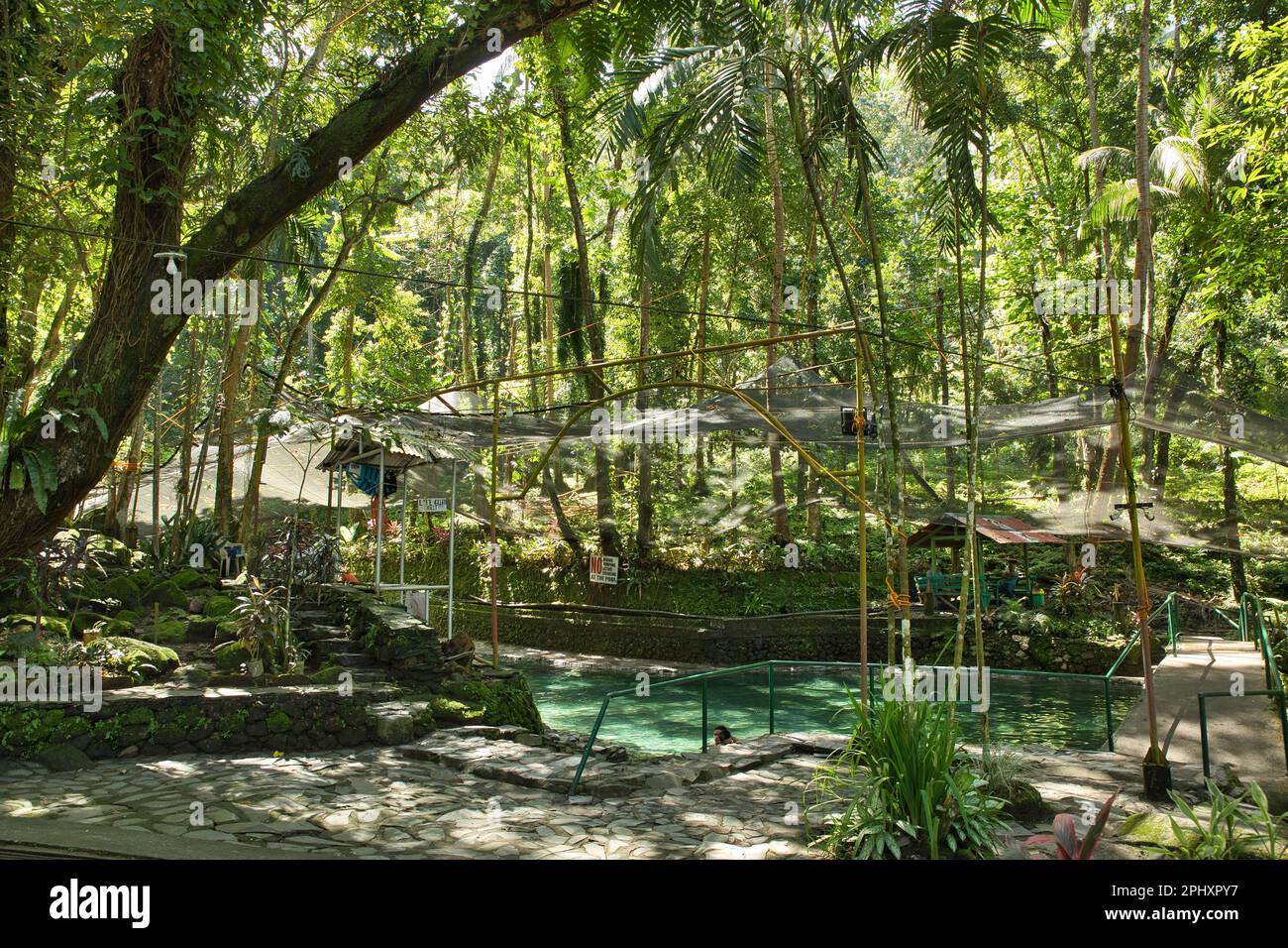 Le idilliache e ardenti sorgenti termali di Camiguin, Filippine, circondate dalla foresta pluviale. Foto Stock