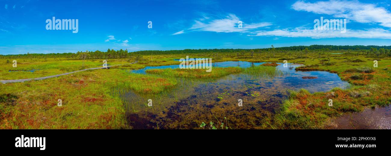 Paesaggio del parco nazionale Soomaa in Estonia. Foto Stock