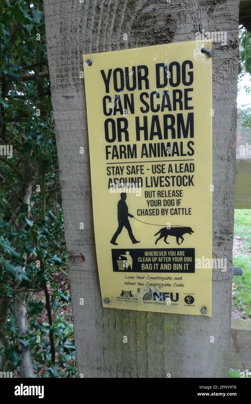 NFU segno di avvertimento proprietari di cani di tenere i loro animali domestici lontano dal bestiame di fattoria Foto Stock
