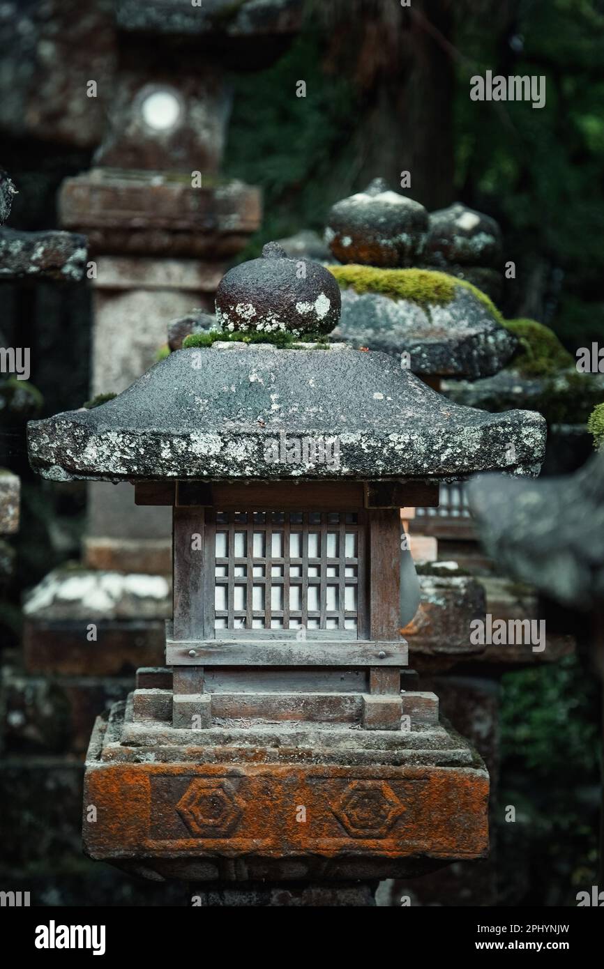 Lanterne di tempio di pietra a Kasuga Taisha, il santuario di Lanterna Shinto a Nara, Giappone. Nara era un tempo l'antica capitale del Giappone, e il tempio risale bac Foto Stock