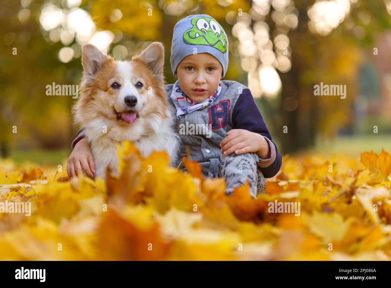 Amici, bambino e cane sono seduti insieme in belle foglie dorate. Autunno nel parco. Un ragazzo di sette anni, Polonia, Europa Foto Stock