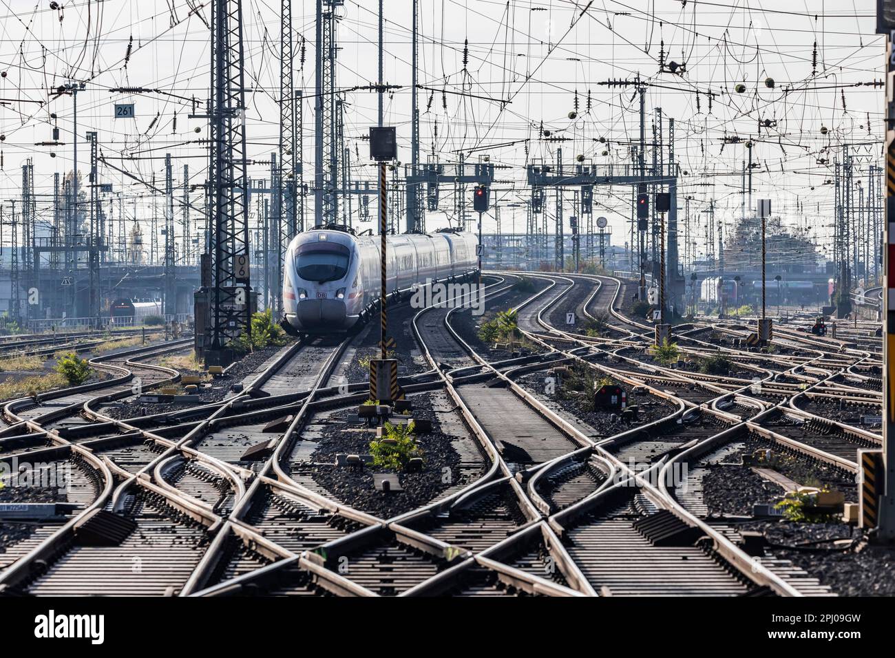 Track grembiule con binari, switch e infrastrutture, InterCityExpress ICE arriva alla stazione centrale di Francoforte sul meno, Assia, Germania Foto Stock