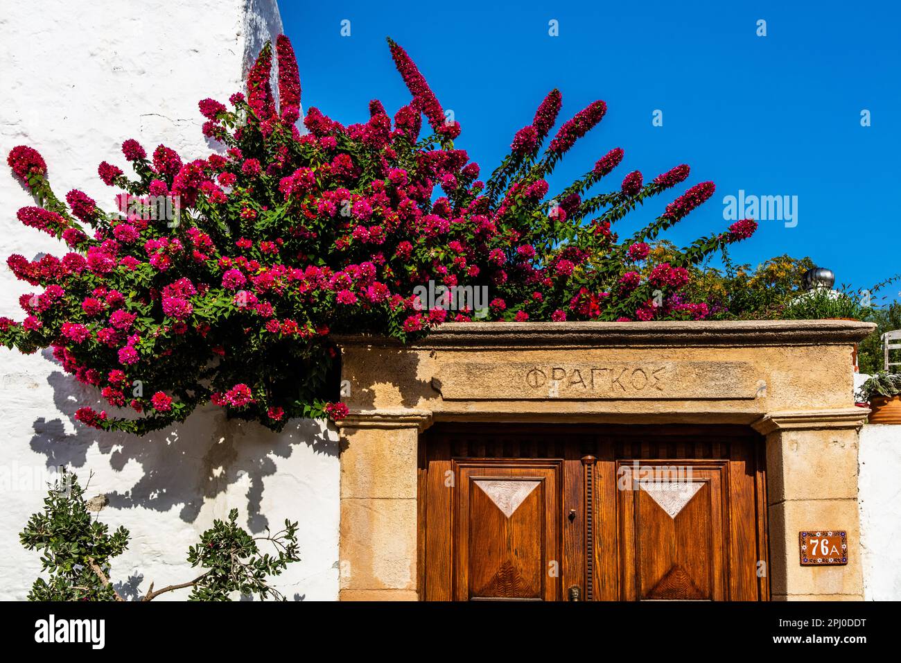 Lachania villaggio, un gioiello dell'isola con piccole strade, case imbiancate e piante colorate, Rodi, Grecia Foto Stock