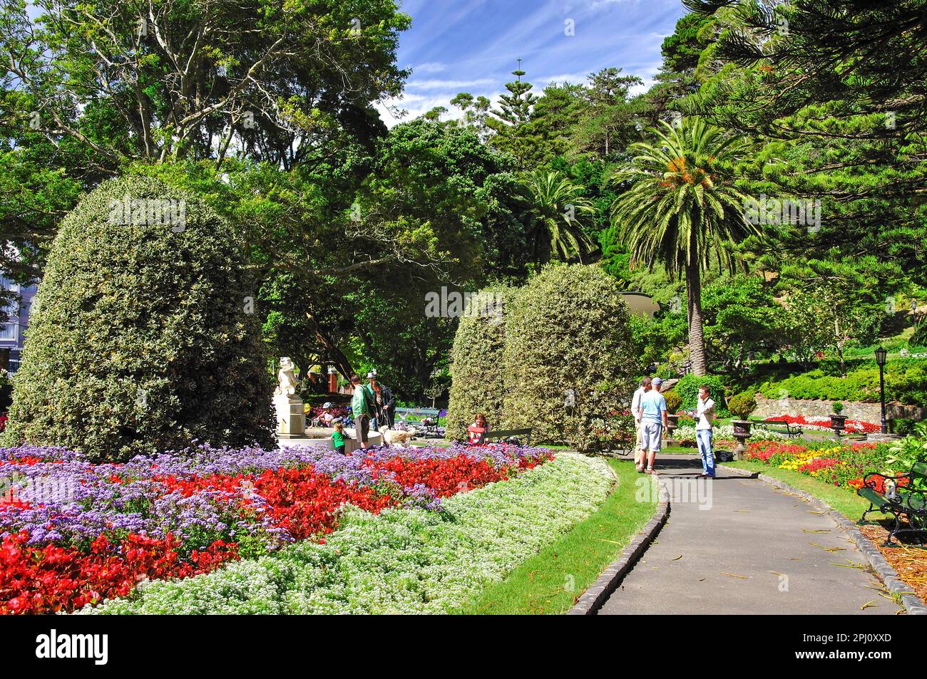 Colorate composizioni floreali, Wellington Botanic Garden, Wellington, Regione di Wellington, Isola del nord, Nuova Zelanda Foto Stock