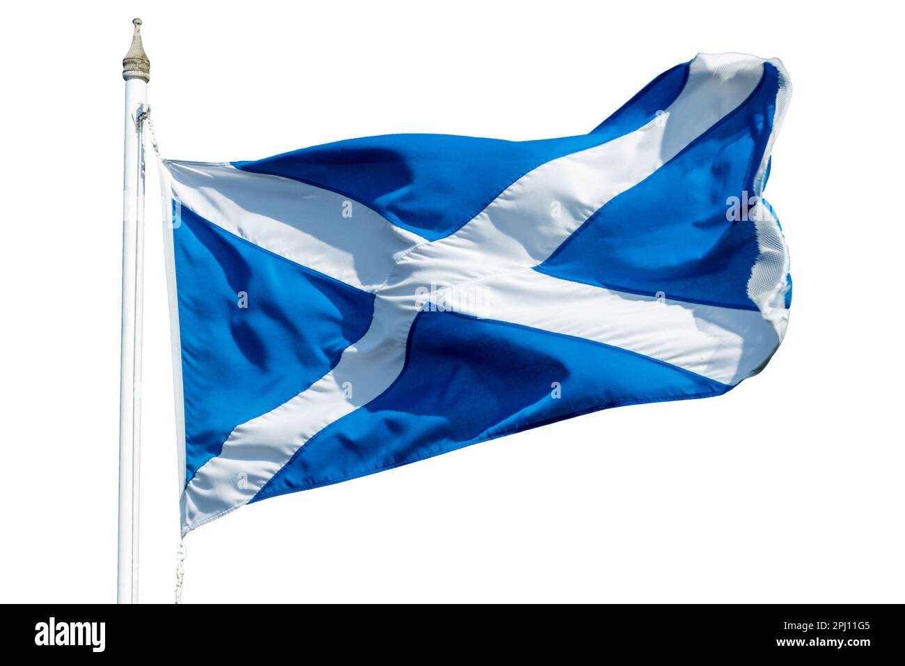 Bandiera scozzese (bandiera di Saint Andrews) su un palo che ondola nel vento isolato su sfondo bianco Foto Stock
