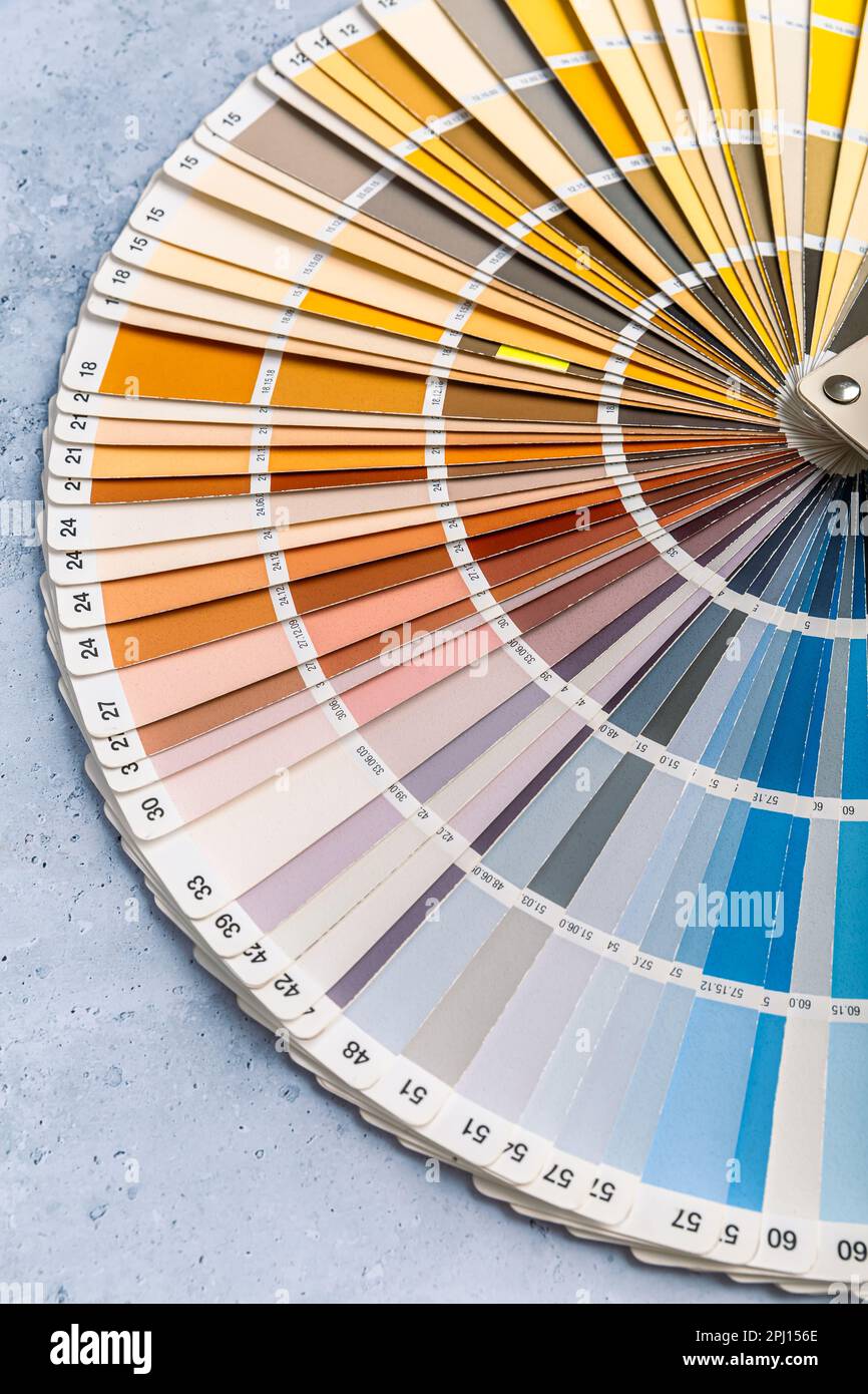 Guida alla tavolozza dei colori industriali del catalogo dei campioni di vernice su sfondo grigio, messa a fuoco selettiva Foto Stock