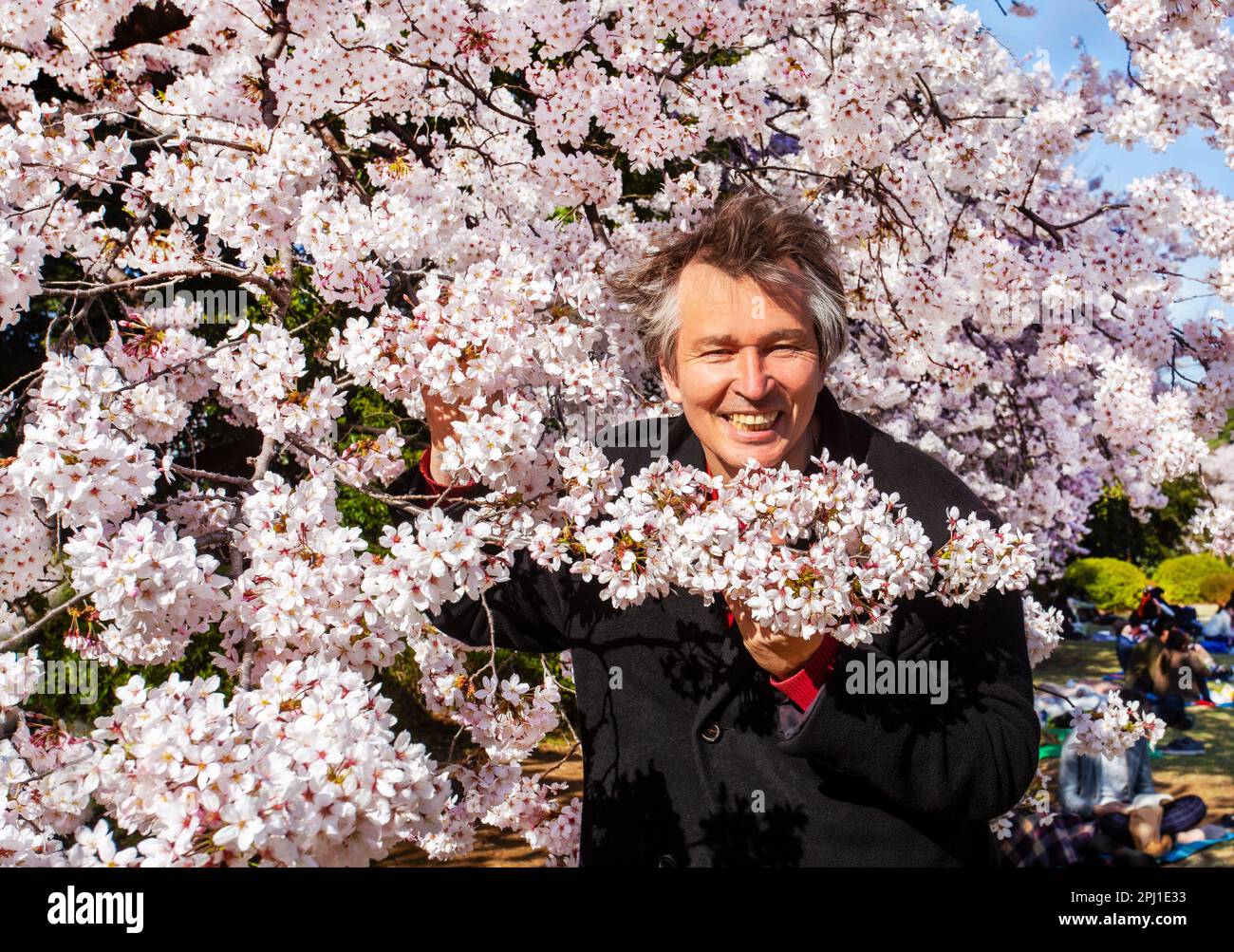 Etniicità asiatica uomo sorridente ( etnia giapponese ?) Nel giardino giapponese a Tokyo nel marzo 31 o nei primi giorni di aprile. Emozionante primo giorno di cher Foto Stock