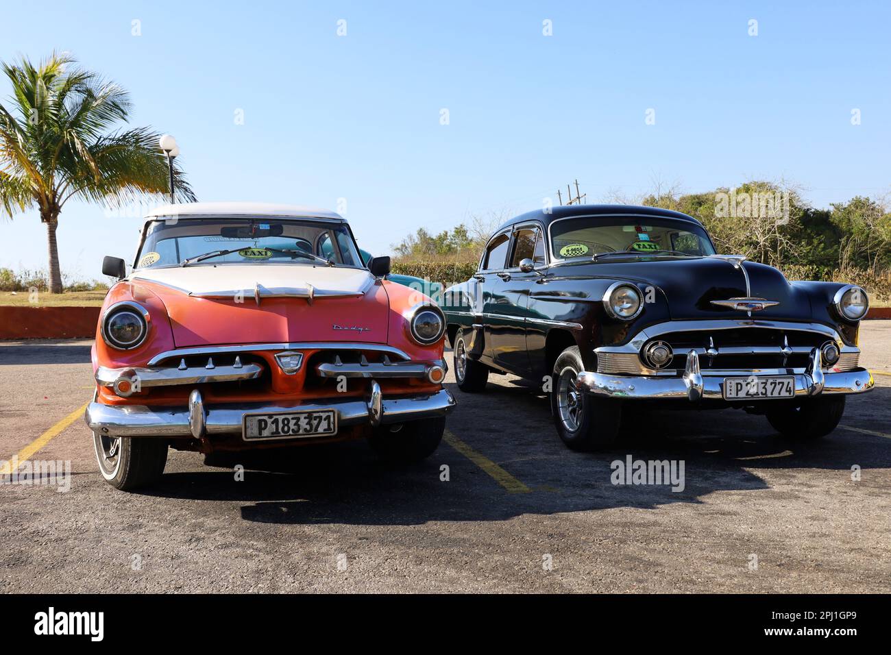 Auto d'epoca classiche Dodge e Chevrolet parcheggiate su una strada su palme sfondo, taxi turistico Foto Stock