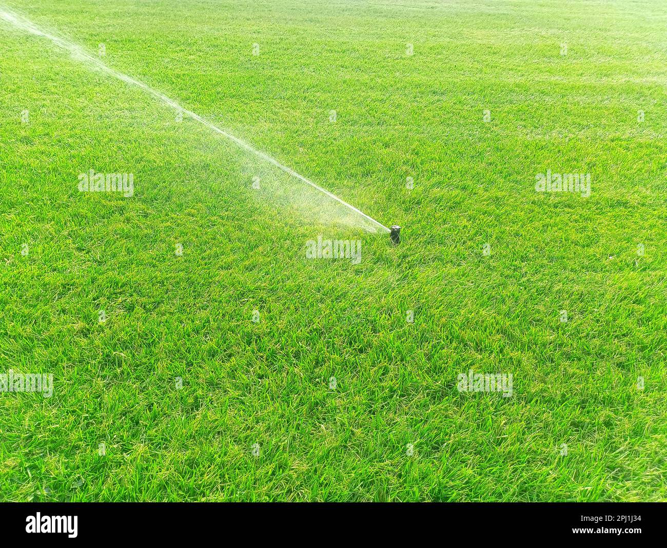 Irrigatore per prato innaffiare erba con sistema automatico. Giardino irrigazione sistema irrigazione prato Foto Stock