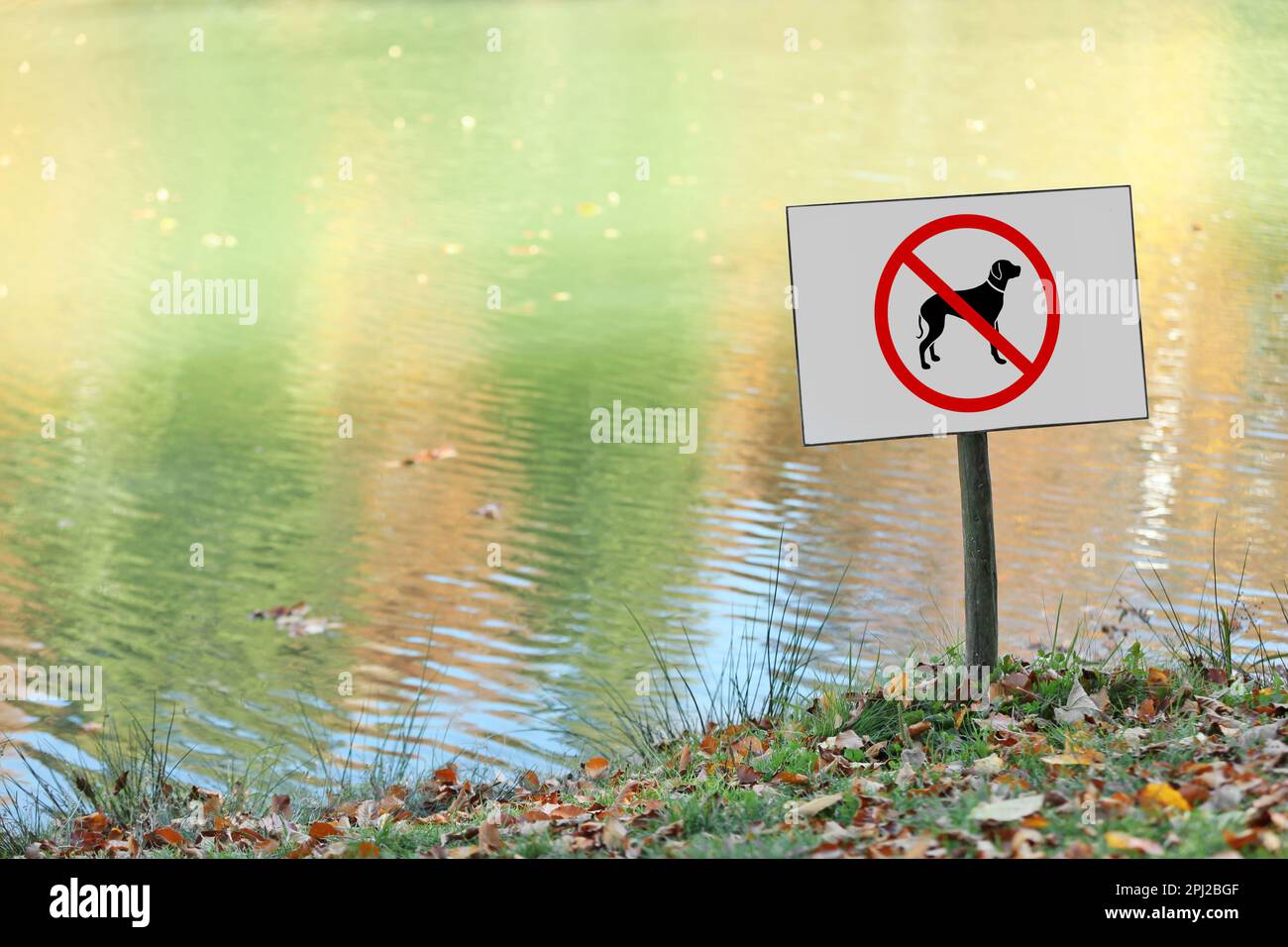 Cartello NON SONO AMMESSI CANI vicino al laghetto Foto Stock