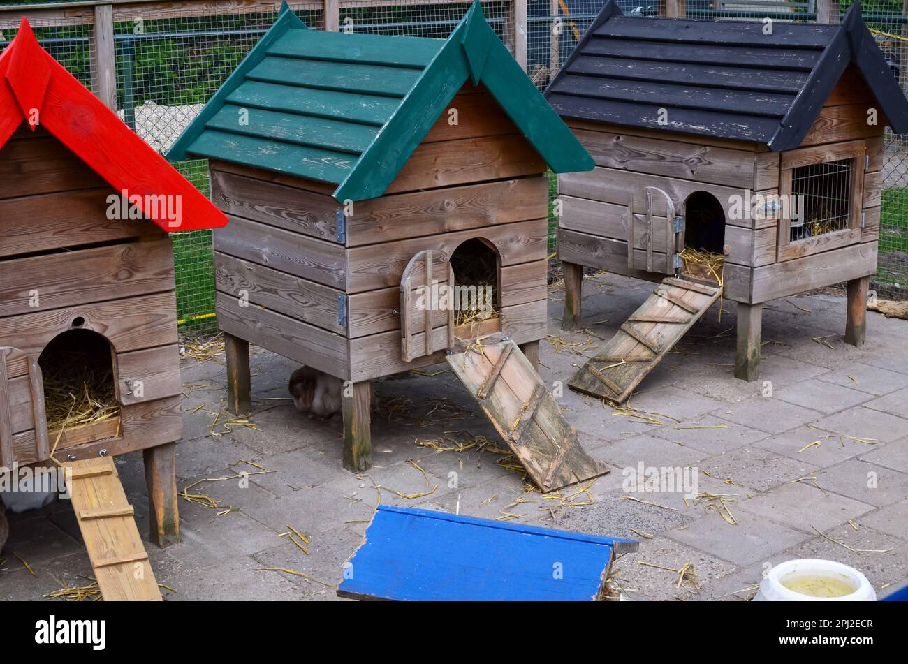 Piccoli hutches di legno per conigli su fattoria Foto Stock