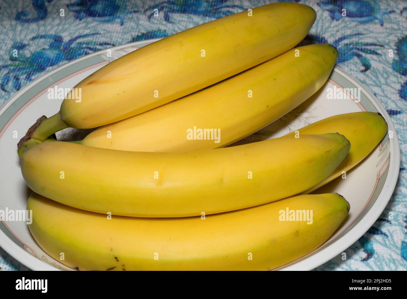 Le banane sono un frutto commestibile allungato - botanicamente una bacca. Banane sane ricche di potassio biologico! Foto Stock